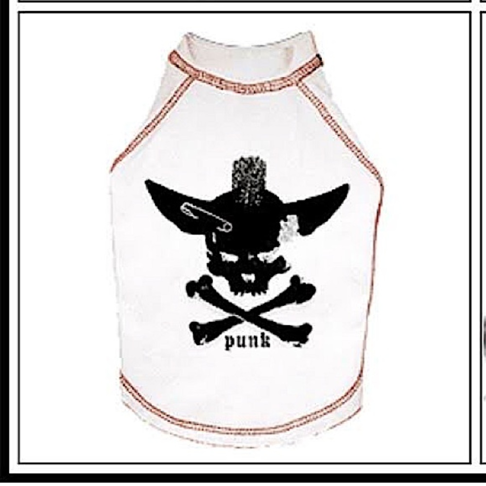 Tee Chi Skull Punk